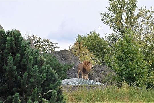 Tour image 6
